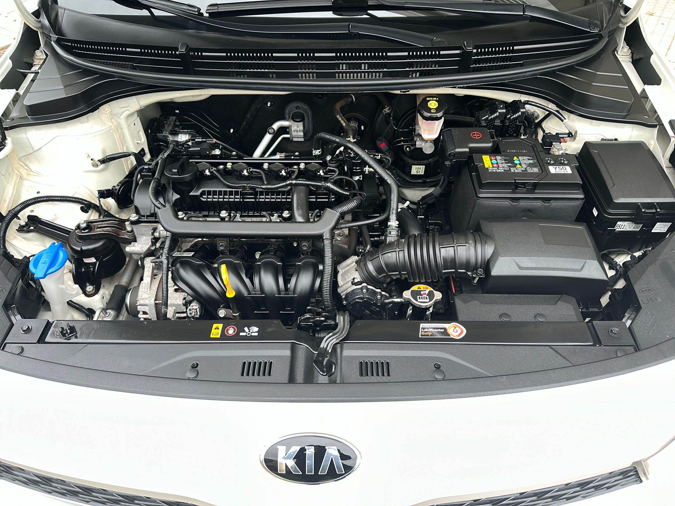 Kia Rio Dynamiq