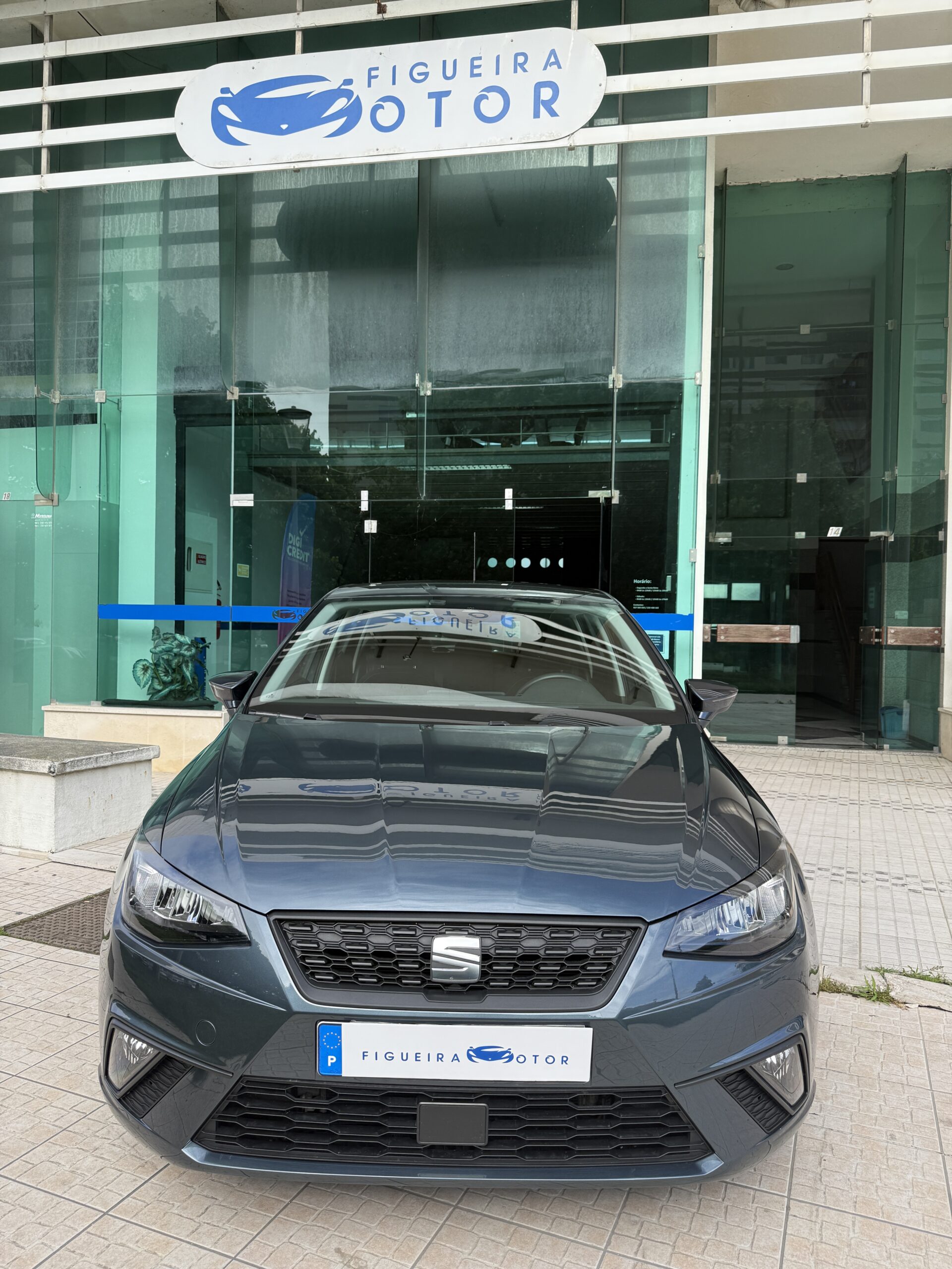 Seat Ibiza Style